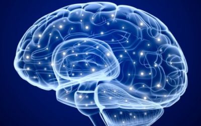 Como a terapia cognitiva pode mudar seu cérebro